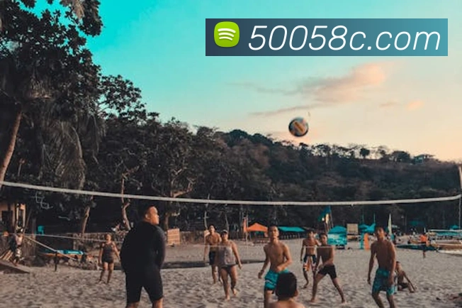 500cp平台生态图